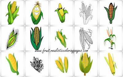 15 surprising corn clipart free