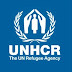 UNHCR - Siria. Rischio di una crisi ingestibile