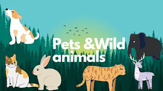 Pets and wild animals || Short Essay