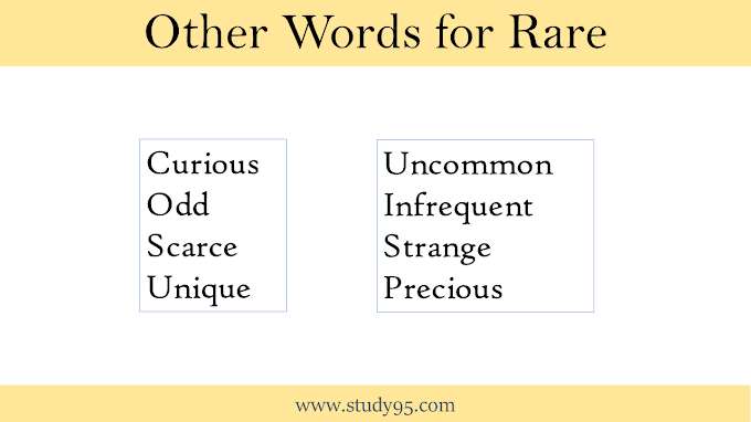 Other Words for Rare - Study95