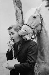 J Fred Muggs,Bamboo Harvester,Highland Dale,Spike,Golden Cloud,Terry,Pal,Skippy,Higgins,Actors,Animal Actors, animals