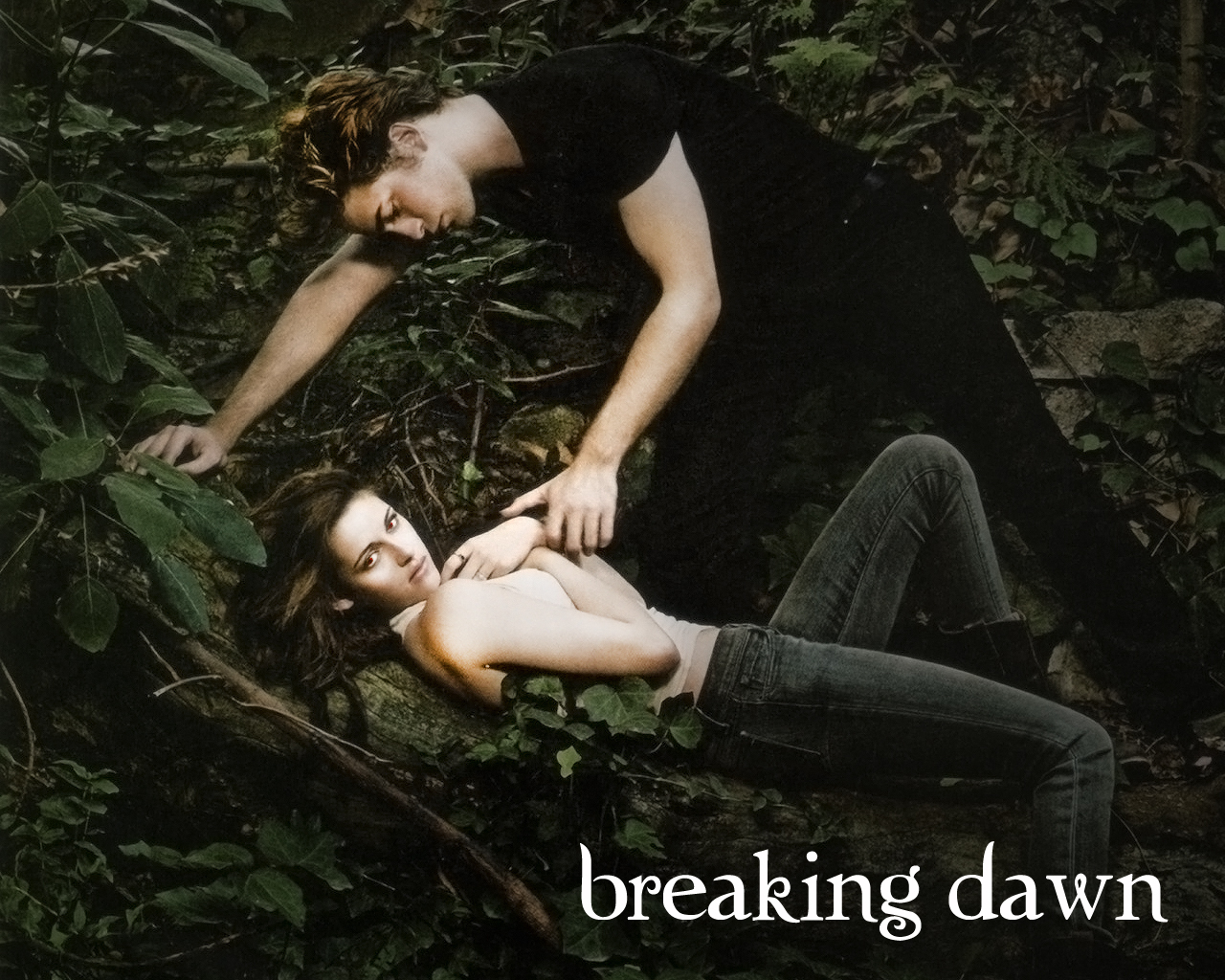 Breaking Dawn