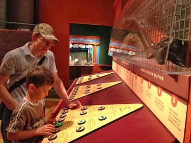 2013-06-24 005