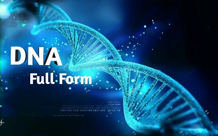 What is DNA full form?