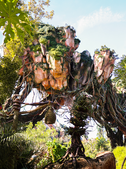 Pandora World Avatar Animal Kingdom