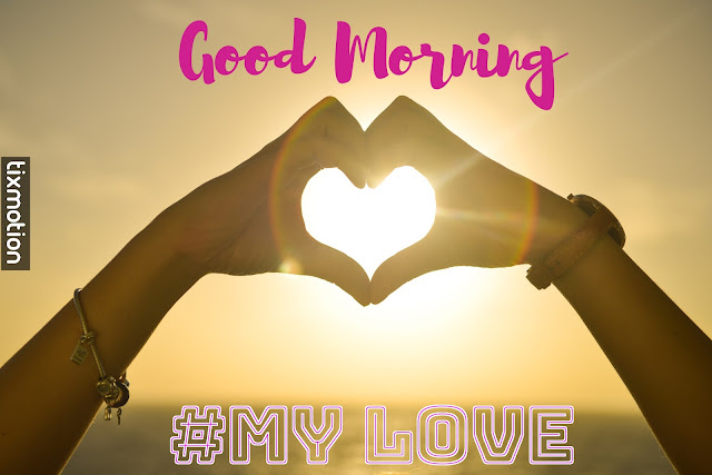 [ Sunday ] Good Morning My Love Quotes With Pictures hd wallpaper no copyrights