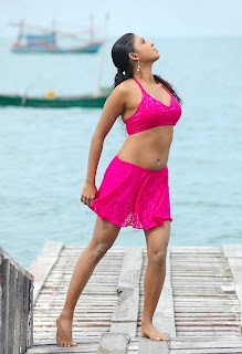 Actress-Laveena-hot-stills-Gallery-Images 