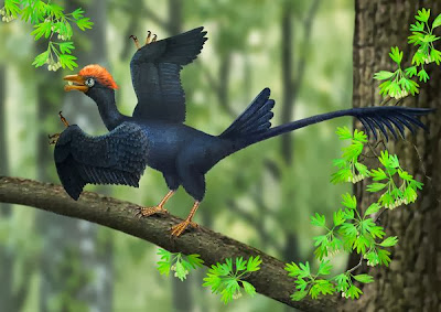 Dinosaur-era bird had two tails