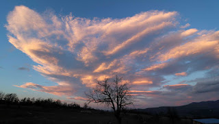 A shouted me out to get a picture of this dramatic cloud