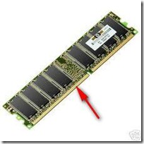 ram