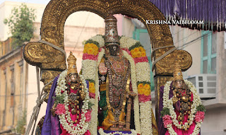  Vasantha utsavam, Thiruvallikeni, Sri PArthasarathy Perumal, Temple, 2017, Video, Divya Prabhandam,Utsavam,