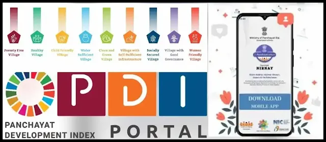 Step-by-Step Tutorial: Filling PDI Data on the Portal