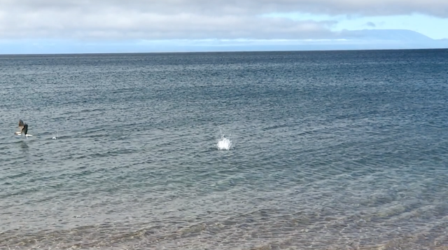 Playa Espumilla, Isla Santiago, Islas Galápagos