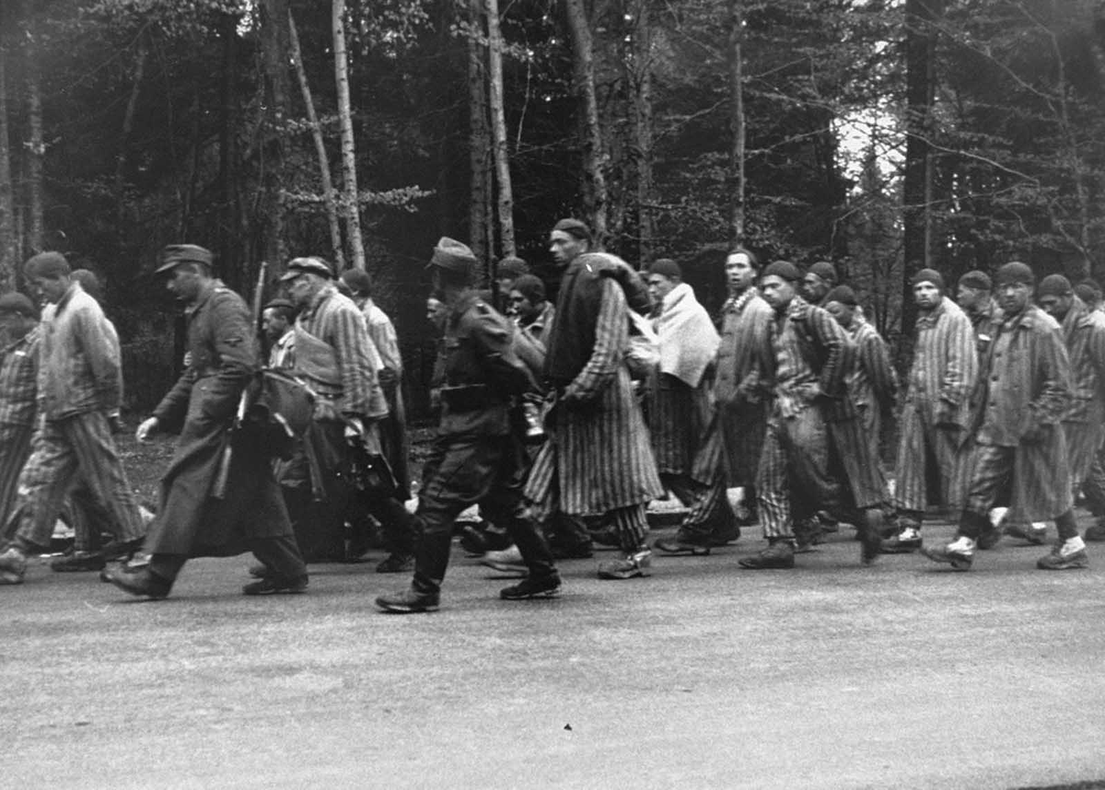 Prisoners on a death march from Dachau move towards the south along the Noerdliche Muenchner Street in Gruenwald, Germany, on April 29, 1945. Many thousands of prisoners were marched forcibly from outlying prison camps to camps deeper inside Germany as Allied forces closed in. Thousands died along the way, anyone unable to keep up was executed on the spot. Pictured, fourth from the right, is Dimitry Gorky who was born on August 19, 1920 in Blagoslovskoe, Russia to a family of peasant farmers. During World War II Dmitry was imprisoned in Dachau for 22 months. The reason for his imprisonment is not known. Photo released by the U.S. Holocaust Memorial Museum