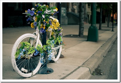 20100519-DSC_0443