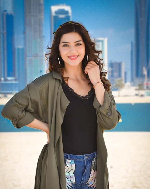 Mehreen Kaur Pirzada poses in a variety of stunning outfits in her latest photoshoot.