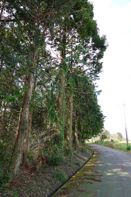 鳥取県東伯郡北栄町東高尾　農道