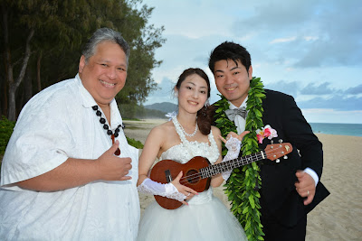 Hawaiian Guitar