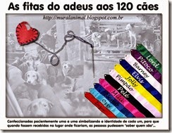 fitas_adeus_120_caes