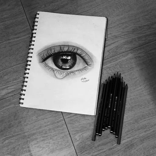 Amazing Pencil Drawings