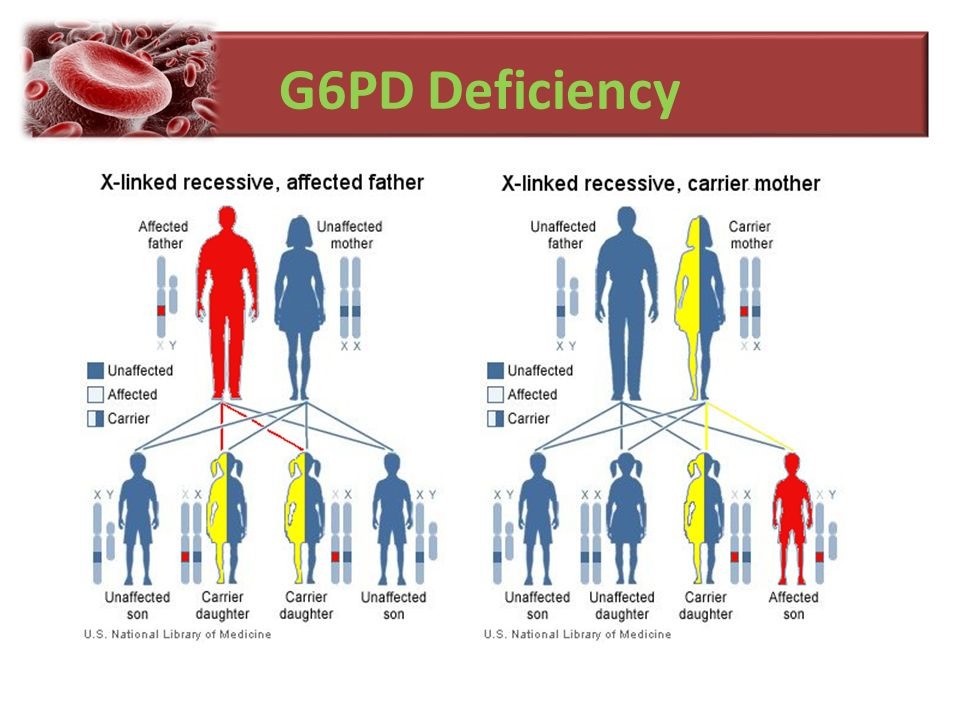 ADAKAH G6PD MERBAHAYA DAN APA SIMPTOM PESAKIT G6PD 