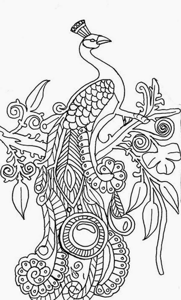 Download Patamata Praneel: READY TO PRINTABLE PEACOCK COLORING PAGES FOR SCHOOL KIDS