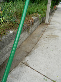 Riverdale Front Garden Cleanup After by Paul Jung Gardening Services--a Toronto Organic Gardening Company