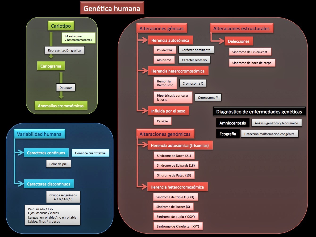  Genética humana
