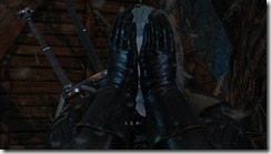witcher3 2016-10-08 20-51-22-98