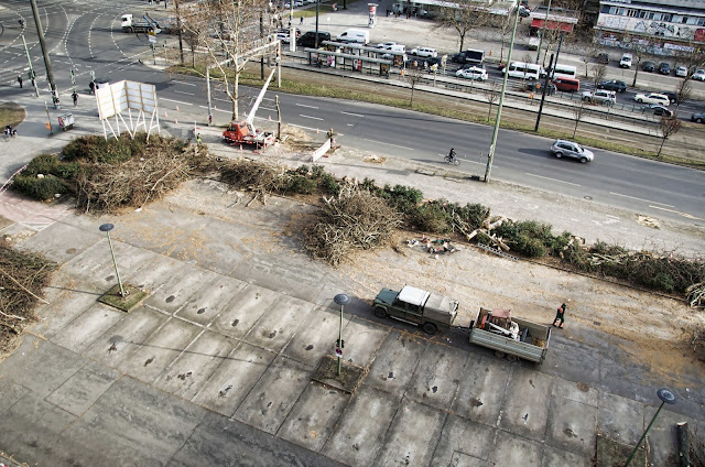 Baustelle Baumfällarbeiten, Otto-Braun-Straße / Mollstraße, 10178 Berlin, 13.02.2014