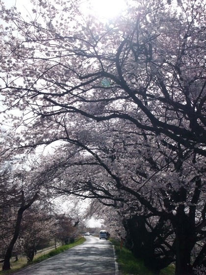 DSCF2478_420