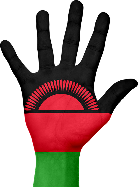 Profil negara Malawi