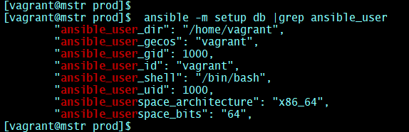 Ansible setup module