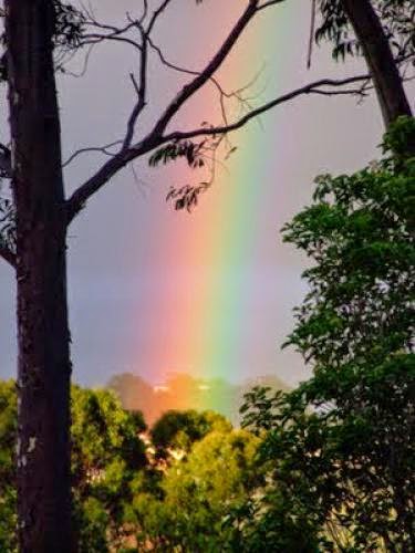 Friday Features The Rainbow