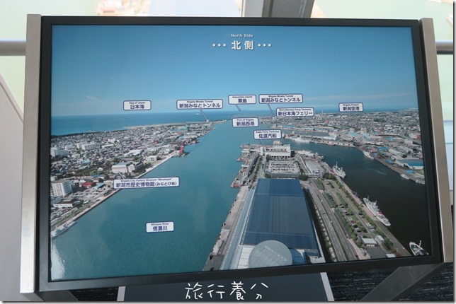 新潟 朱鷺展望台 (22)
