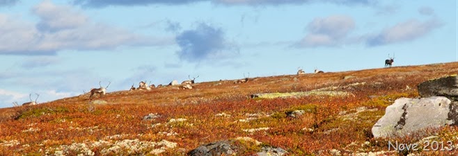 DSC_9596