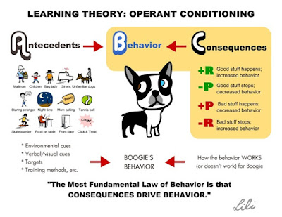 Perbedaan antara Classical dan Operant Conditioning