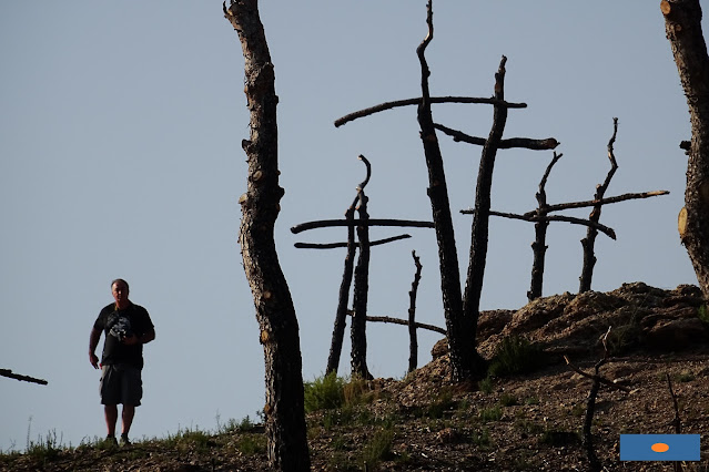 El bosque de las cruces, Montserrat; Marc Sellarés