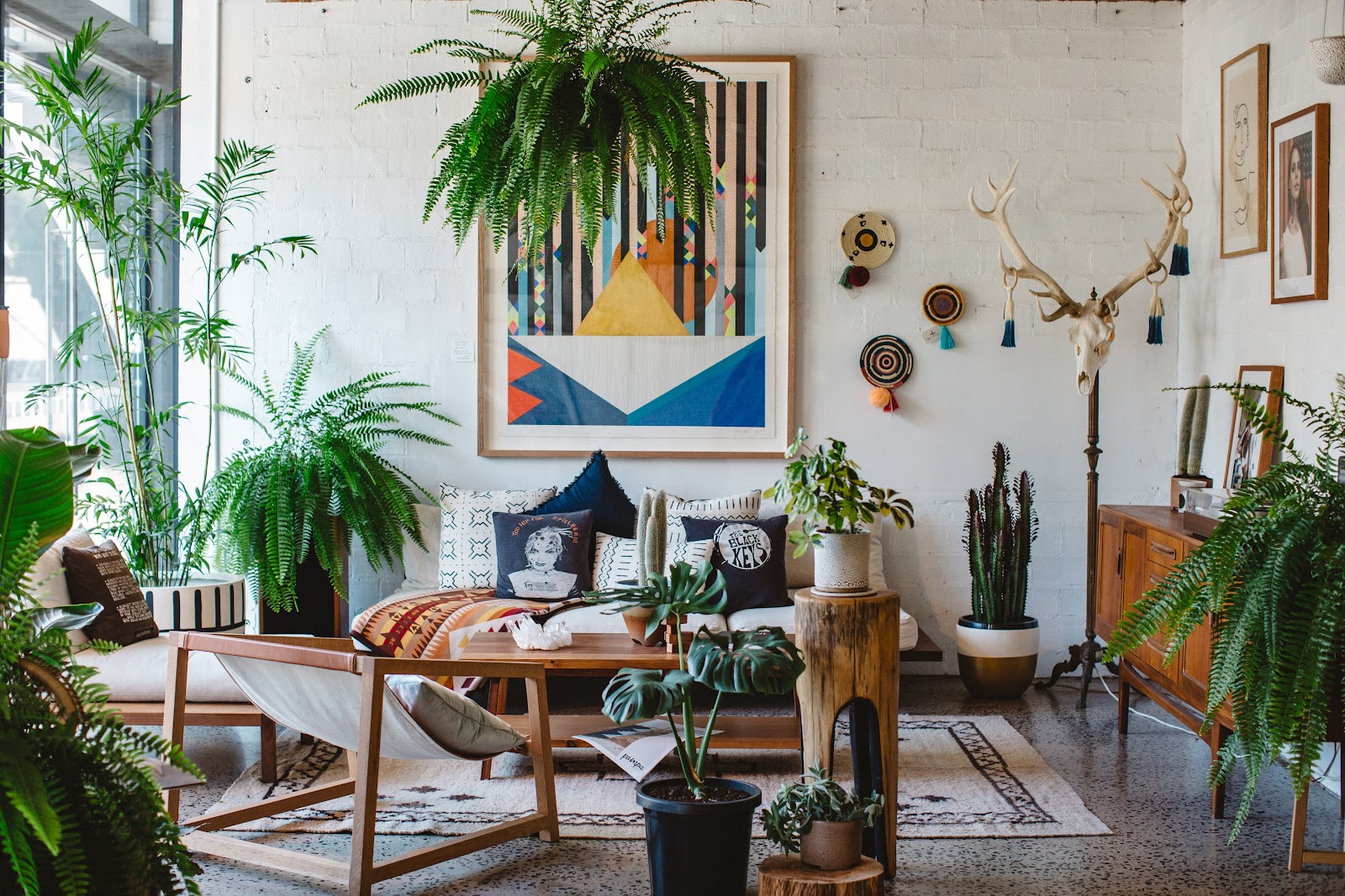which-indoor-plants-should-you-buy-to-turn-the-inside-of-your-home-into-a-garden