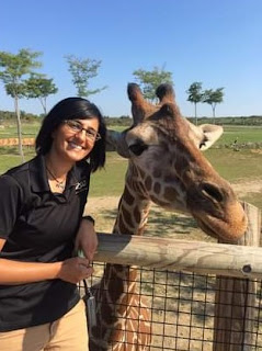 Priya Bapodra clicking picture with giraffes