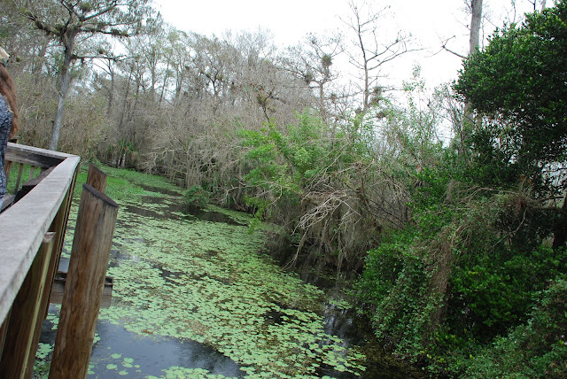 Big Cypress National Preserve