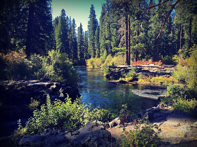 River meandering through forest with some fall colors