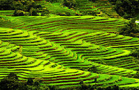 Pesona Keindahan Pulau Bali Indonesia