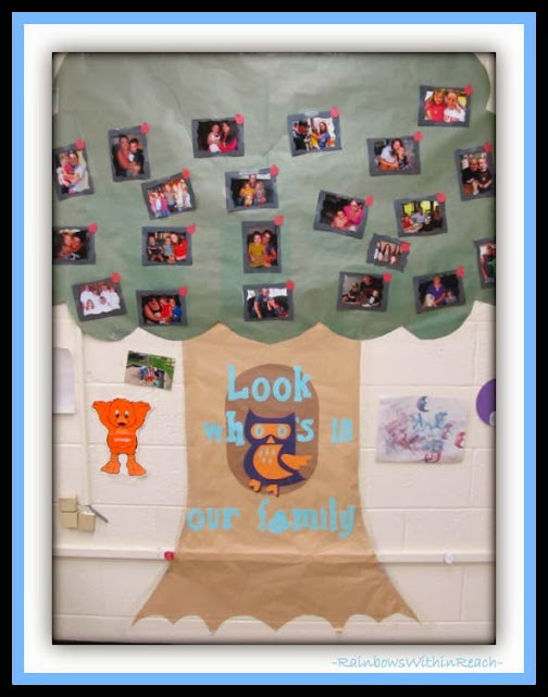 Family Tree Theme for Back to School Bulletin Board via RainbowsWithinReach