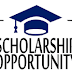 Westminster Vice-Chancellor’s Scholarships for Developing Country Students