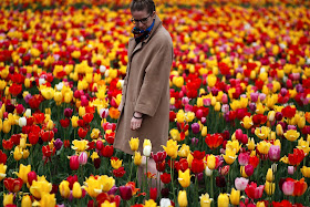 Woodland Tulip Festival