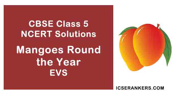 NCERT Solutions for Class 5th EVS Chapter 4 Mangoes Round the Year