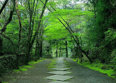 Kyoto Japanese Garden wallpapers Foto