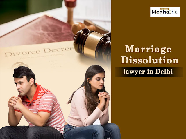 divorce lawyer in Delhi