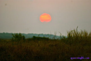 Sun rising over grasses and open space